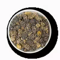 1001 Frucht Bio Maulbeeren, Schwarz Naturbelassen