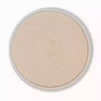 1001 Frucht Bio Reisprotein Pulver 90% 1000 g