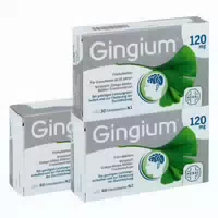 2x Gingium 120mg 60stk Gingium 120mg 30stk
