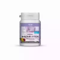 Original Bachblüten Kaugummi No 41 Focus 40 st Kaugummi