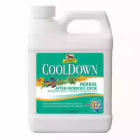 Absorbine Cooldown