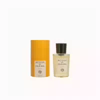 100 ml