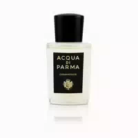 20 ml