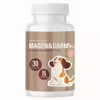 Adema Natural Magen und Darm Tabletten | Ausschließlich für Hunde