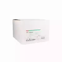 Cellona Synthetikwatte 10 Cmx3 M Steril 8 St Watte