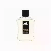 0.1 l
