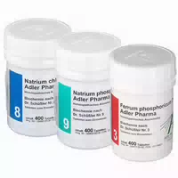 Adler Pharma Magen Fit Kur