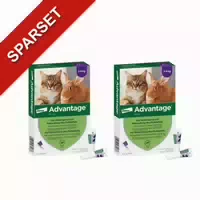 Advantage 80 mg für Gr Katzen und Gr Zierkaninchen