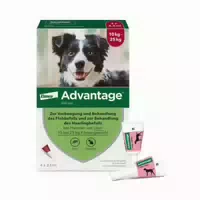 Advantage Spot On für Hunde von 10 Bis 25 kg Körpergewicht
