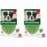 Advantage Spot On 250 gegen Flöhe für Mittelgroße Hunde von 10 Bis 25 kg Körpergewicht