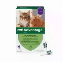 Advantage Spot On für Katzen und Zierkaninchen von 4 8 kg