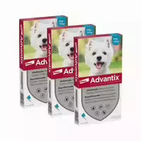Advantix Spot On 100 für Kleine Hunde von 4 Bis 10 kg Körpergewicht gegen Zecken, Flöhe und Fliegende Insekten, Bis zu 4 Wochen Wirksamkeit