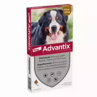 Advantix Spot On 600 für Sehr Große Hunde Bis 60 kg Körpergewicht gegen Zecken, Flöhe und Fliegende Insekten, Bis zu 4 Wochen Wirksamkeit