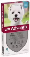 Advantix Spot On Hund 4 10 kg 4 X 1 ml Lösung