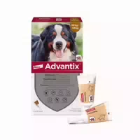 Advantix Spot On Für Hunde 40 60kg 4x6 0 Ml Lösung