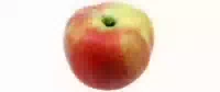Äpfel Deljonca