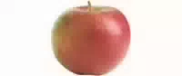 Äpfel Idared