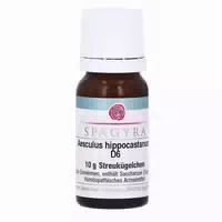 Aesculus Hippocastanum D 6 10 g Globuli