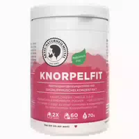 Aktiv Naturheilmittel Knorpelfit 60 st