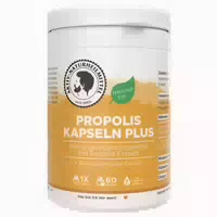 Aktiv Naturheilmittel Propolis Kapseln Plus 60 st