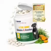 Gigi Vet Hunde Gelenke & Knochen N90