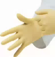 Latexhandschuhe Einmal Puderfrei l 100 st Handschuhe