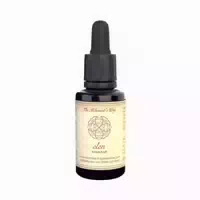 The Alchemist`s Way Elen Innere Kraft