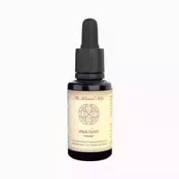 The Alchemist`s Way Macian Aktivität