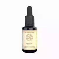 The Alchemist`s Way Nopian Vertrauen
