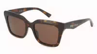 Alexander Mcqueen Am0473s 1er Packung