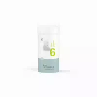 Biochemie Pflüger Schüßler Salz Nr 6 Kalium Sulfuricum D6