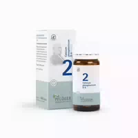 Biochemie Pflüger Schüßler Salz Nr 2 Calcium Phosp D6 100 St