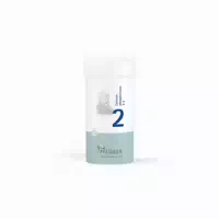 Biochemie Pflüger Schüßler Salz Nr 2 Calcium Phosp D6 100 G