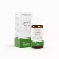 Derivatio Tabletten 100 St Tabletten