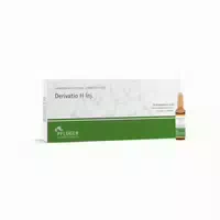 Derivatio H Inj 10x5 Ml Ampullen