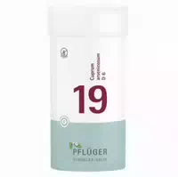 Schüßler Salz Nr 19 Cuprum Arsenicosum D6 400 St Tabletten