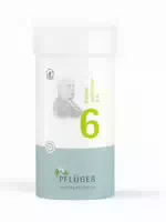 Schüßler Salz Nr 6 Kalium Sulfuricum D6 400 St Tabletten