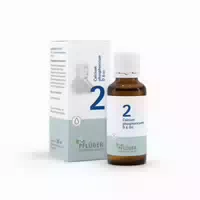 Schüßler Salz Nr 2 Calcium Phosphoricum D6 30 Ml Tropfen