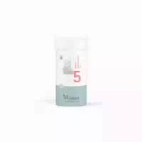 Schüßler Salz Nr 5 Kalium Phosphoricum D6 400 St Tabletten