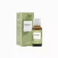 Thuja Extern Tinktur Pflüger 20 Ml