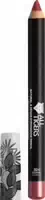 All Tigers Eyeshadow 3 g 324 Coral Corail