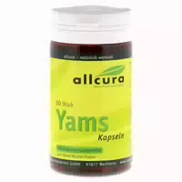 Yams Kapseln 250 Mg Yamspulver 60 St Kapseln