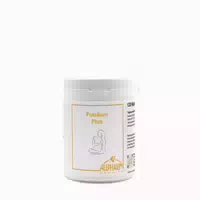 Allpharm Premium Folsäure Plus