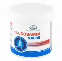 Glucosamin Salbe 250 Ml