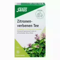 Grüner Tee Filterbeutel