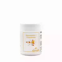 Latschenkiefer Glucosamin Chondroitin 120 St