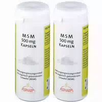 Msm 500 mg