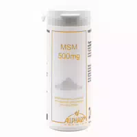 Cupplement Msm Kapseln 500 mg Multipack
