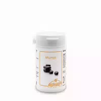 Mumijo Altai 60 st Kapseln