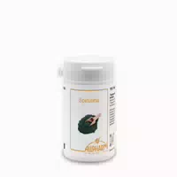 Spirulina Tabletten 150 St